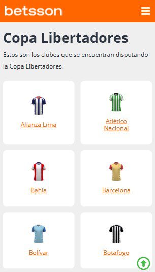 Copa Libertadores